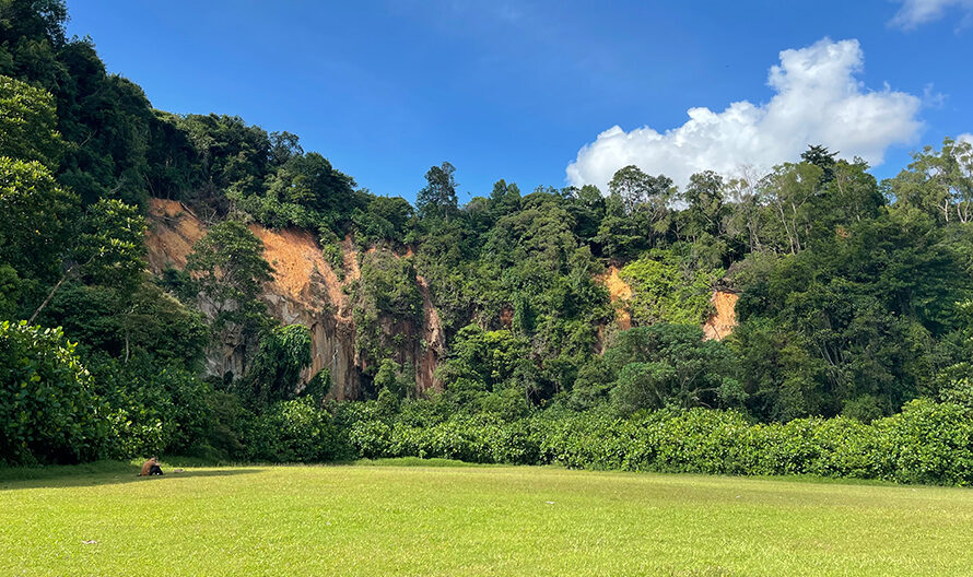 Dairy Farm Nature Park