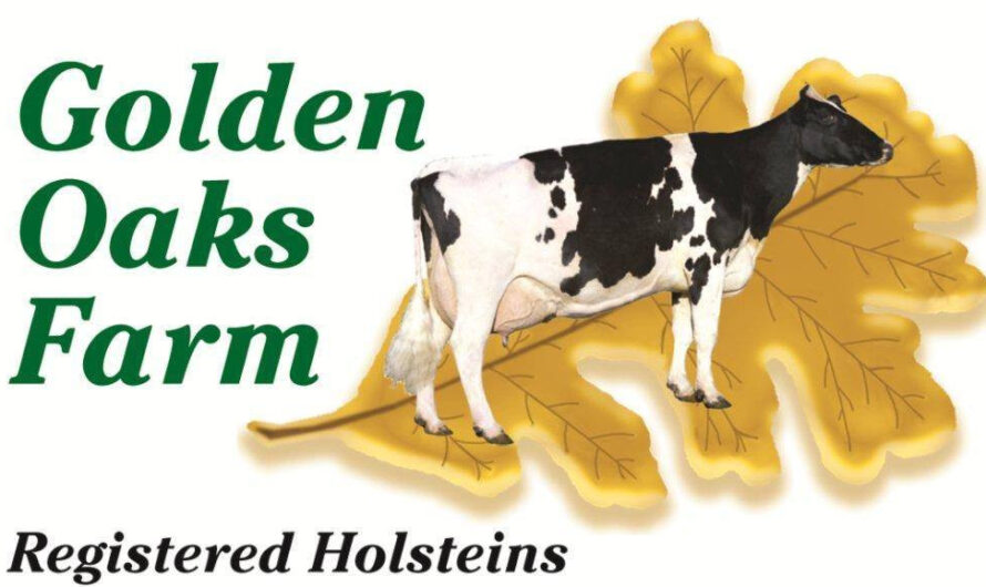 Golden Oaks Farm