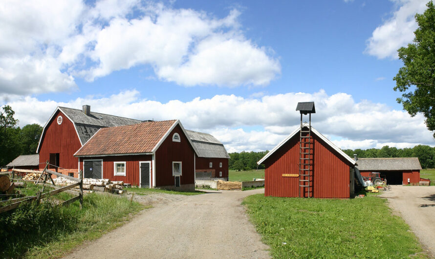 Stegsholm’s Farm