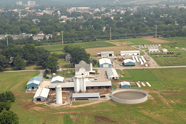 UD Dairy farm